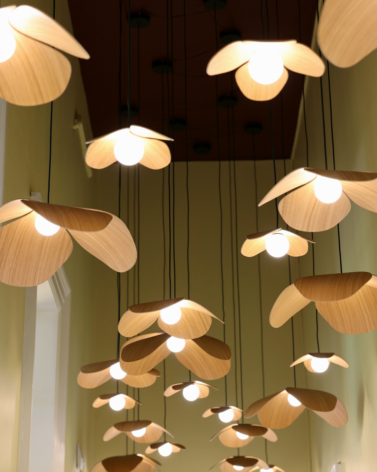 Forget Me Not Cluster 3 pendel med roset, egetræ • UMAGE - Copenhagenhomedesign