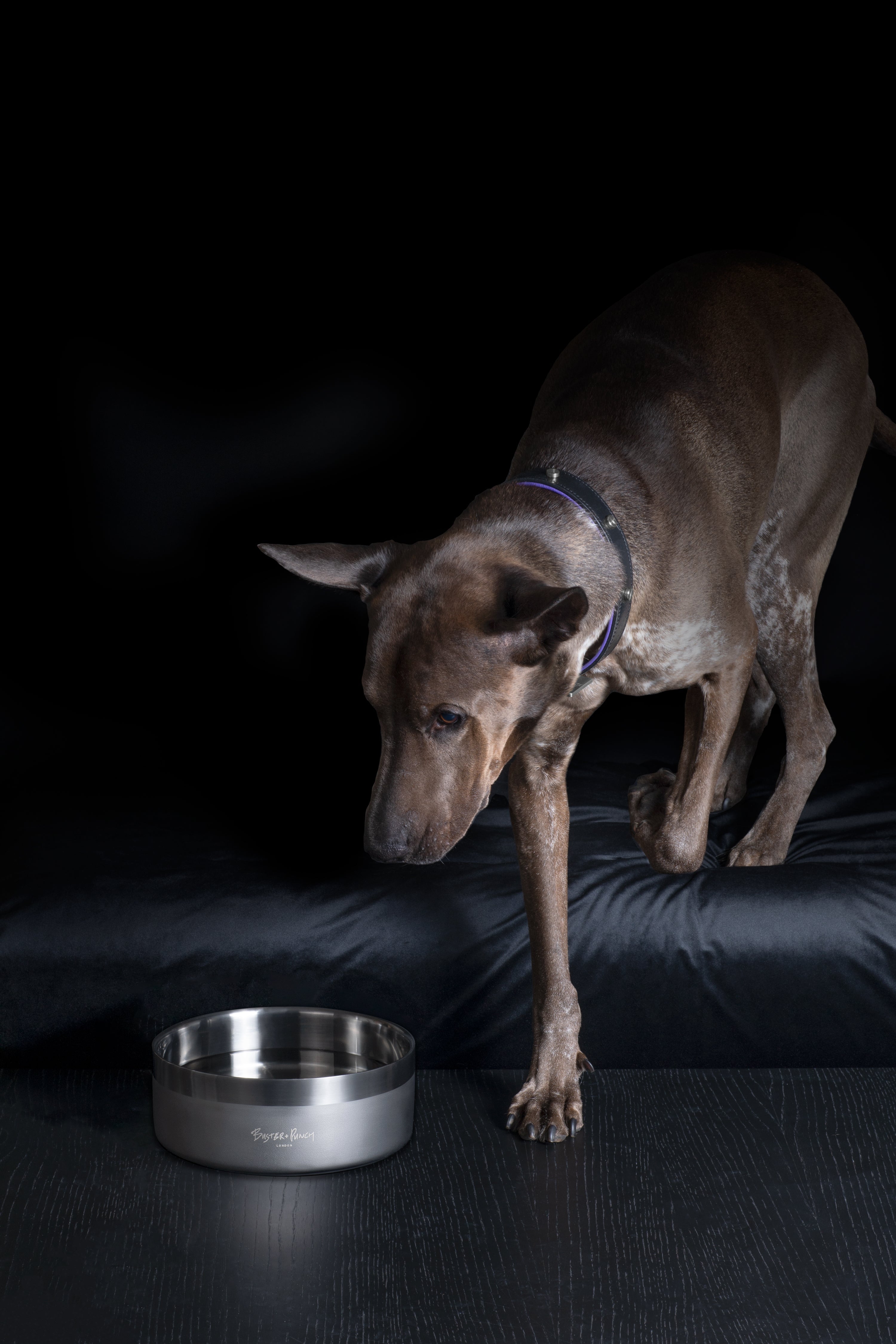 Brun hund samt hundskål i stål med gun metal-finish