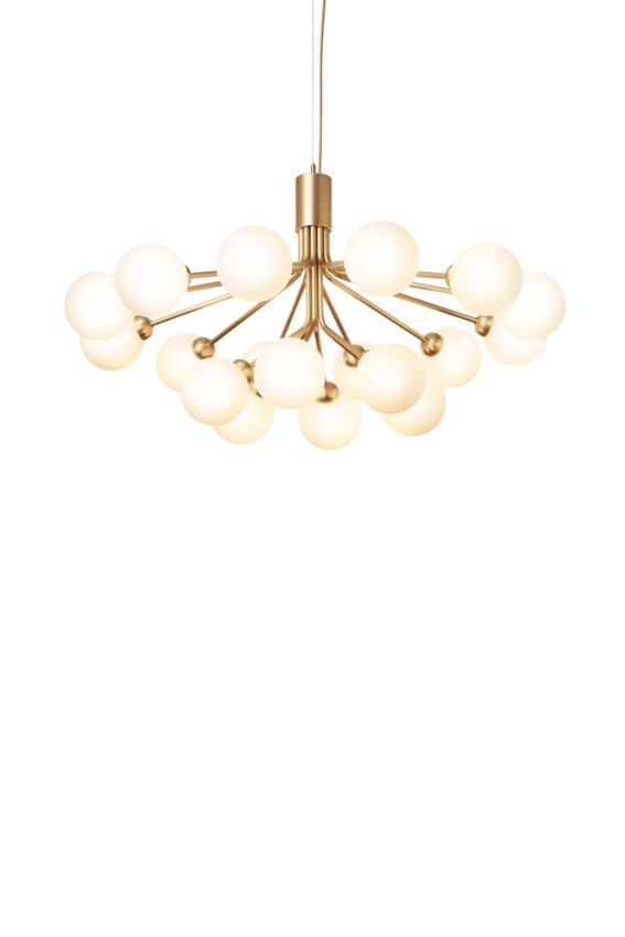 Apiales 18 ljuskrona, brushed brass / opal • NUURA